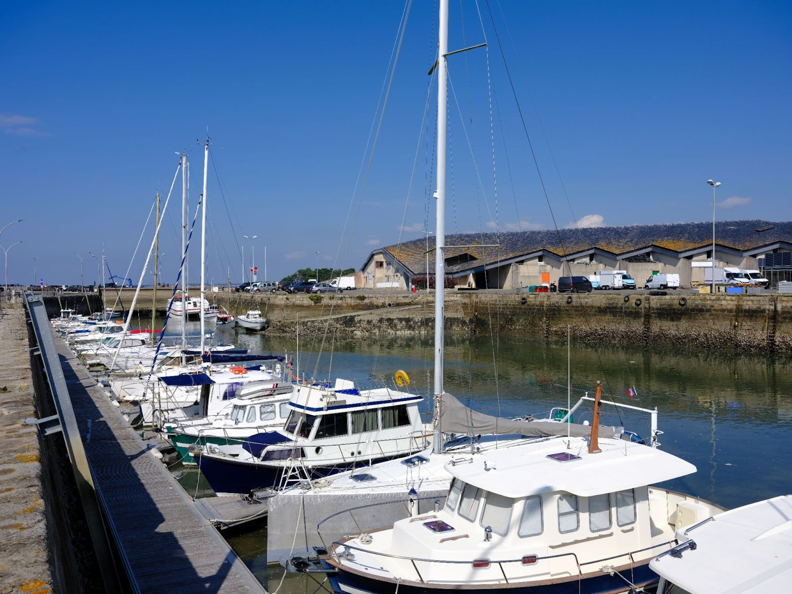 How to Dock a Pontoon Boat in Wind Without Stress or Damage