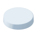 10" White, Flat, Round, Piling Cap