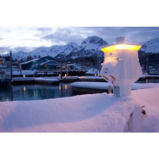 Lighthouse Power Pedestal (Stainless Steel), 50A/30A/50A/30A/20A