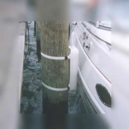 Replacement Pier Cushion Nylon Straps with Buckles, Set of 2-1